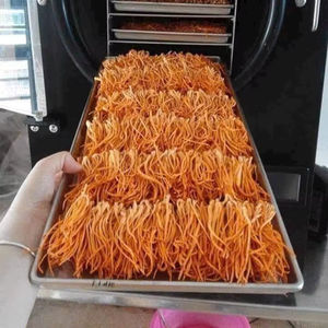 Cordyceps militar directo de fábrica liofilizado con servicio OEM/ODM/Lirio - Product Image 1