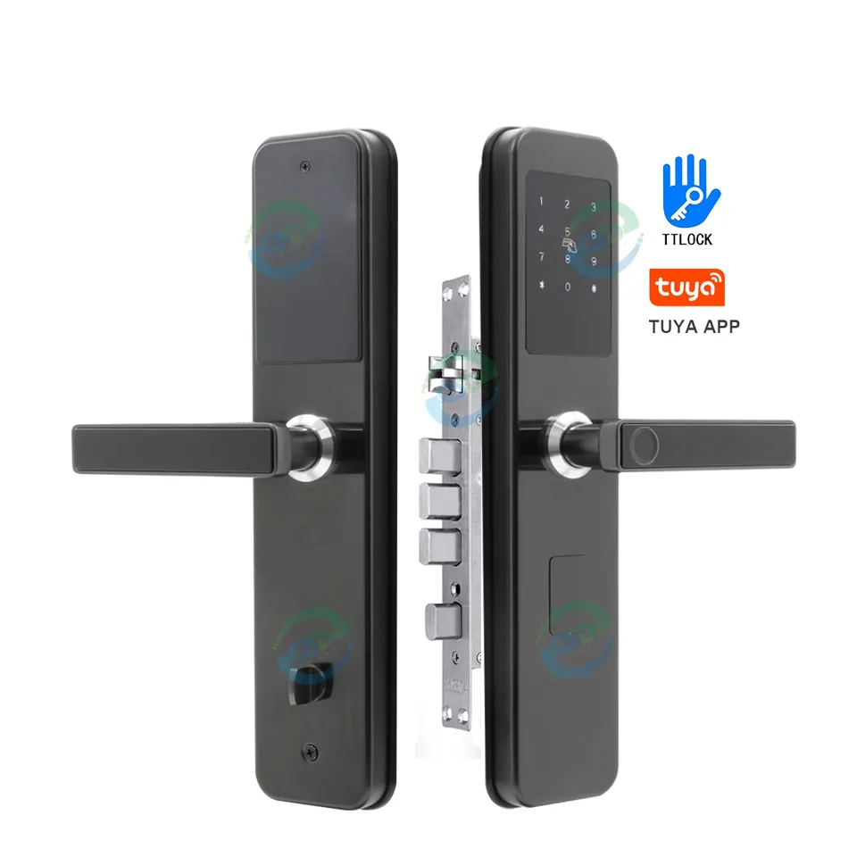 Fabricants de serrures intelligentes QSD Wifi Tuya TTlock App mot de passe biométrique empreinte digitale poignée numérique Keyss serrure de porte intelligente