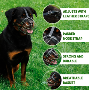 Bozal de perro de Metal de calidad superior Ariston, cesta de alambre, instrumento veterinario para Mastín Gran Danés, correas de cuero de San Bernardo - Product Image 3