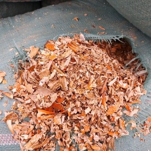 BEST SELLER 2024 I Cangrejo seco Color de cuerno natural I su mejor opción I Alta CALIDAD DE Vietnam - Product Image 1