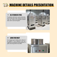Machine à éplucher l'ail électrique commerciale en acier inoxydable 220V/380V, garantie 1 an, pour l'épluchage de l'ail frais, des fruits et des légumes