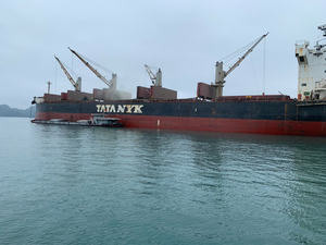 Cemento a granel de Vietnam directo de fábrica, precio al por mayor de alta calidad y puede hacer materiales de construcción de marca OEM - Product Image 2