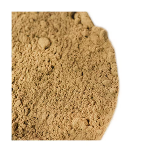 Meilleur fournisseur d'extrait de fruit de lotus sauvage pur à 100% en poudre, emballé sous vide en bouteille/tambour, en provenance d'Inde aux meilleurs prix - Product Image 2