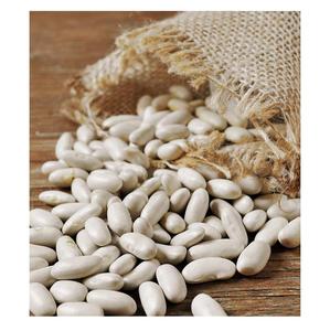 ถั่วทะเล, ถั่วฮาริคอต, ถั่วขาว (ไวท์ราจมา) - Product Image 6