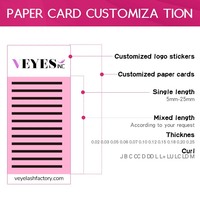 VEYES Plateaux à cils en velours noir de jais 6-25mm Vente en gros 0.05 0.07 Cc d Dd Curl PBT Noir mat Fournisseurs d'extensions de cils