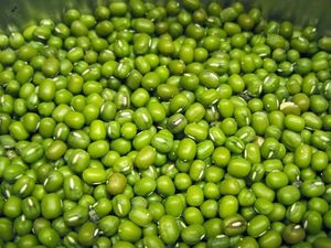 Wholesale 2024 Green Mung <b>Beans</b> 3.25mm up Vietnam Origin Green Mung <b>Beans</b> - Product Image 3