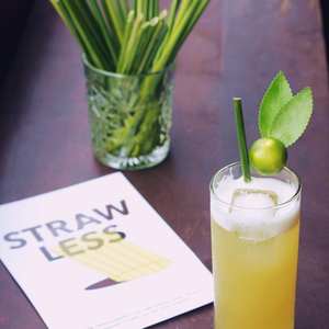 Pailles à boire en herbe naturelle, paille jetable écologique Vietnam 2019 taille personnalisée - Product Image 4