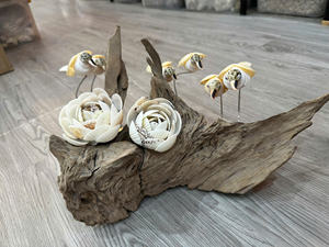 Turbo Shell hermosa concha marina Natural para exhibición en el océano decoración costera para fiesta de boda Tema de playa decoración coleccionable náutica - Product Image 3