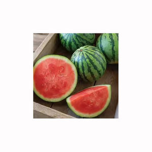 Sandía de pulpa roja, fruta jugosa fresca de primera calidad para mercados mayoristas, hoteles, restaurantes y tiendas - Product Image 6