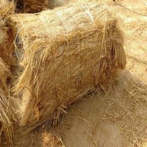 Balles d'alimentation pour animaux de qualité supérieure Balles de foin de paille de riz traitées thermiquement prêtes à l'exportation pour chevaux bovins porcs quarantaine sans ravageurs - Product Image 1