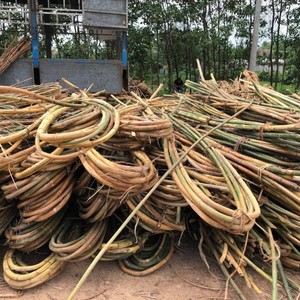 ส่วนลดพิเศษไม้หวายหวายธรรมชาติไม้หวายผิวเปลือกวัสดุสำหรับทำเฟอร์นิเจอร์สวนกลางแจ้ง - Product Image 2