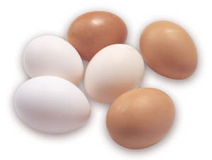 Incubadora de huevos de Cross 308 y Cobb 500, mesa de huevos de gallina, proveedor de huevos frescos - Product Image 2