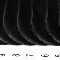 Faux cils coréens en vison à marque privée, effet mat BlackBerry, extension de cils en soie, individuels, naturels, noir mat