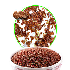 Cress | Verde culinario de alta calidad para compradores gourmet - Product Image 1