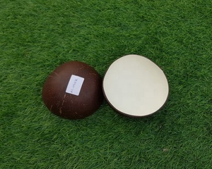 Top Seller Polished Husk Bowls Dinnerware Sets Minimalist Eco Friendly Colorful <b>Coconut</b> <b>Shell</b> Back to School Made in Vietnam - Product Image 6