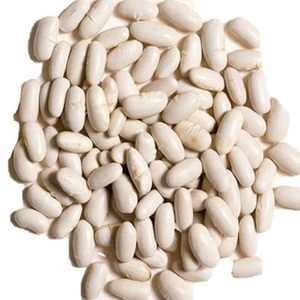 Frijoles Blancos de la Mejor Calidad al por Mayor a Precio Económico, 100% de Primera Calidad - Product Image 6