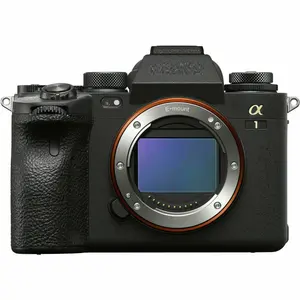 立即购买阿尔法a7 III全画幅A1无反光镜24.3mp数码相机，带镜头包