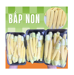 Maíz dulce congelado premium y maíz pegajoso para exportación al por mayor suministro a granel de Vietnam - Product Image 1