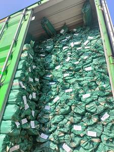 Bâton de vadrouille à grain en bois 100% à usage domestique du fabricant direct avec tête de balai et pelle à poussière en PVC balais et pelles à poussière de haute qualité - Product Image 3