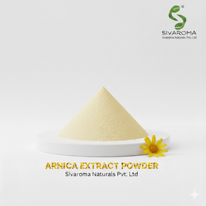 Poudre d'extrait d'arnica de haute qualité conçue pour les soins de la peau, les soins capillaires et la fabrication de produits de beauté - Product Image 1