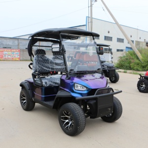 Carrito de golf de venta rápida para 2, 4 o 6 personas con un acabado elegante - Product Image 1