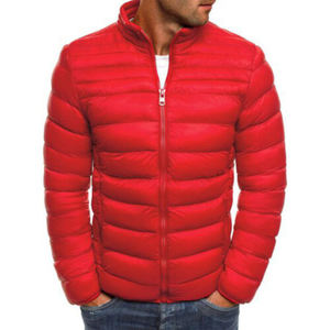 2025 hommes décontracté doudoune compressible léger imperméable isolé manteau d'hiver vente chaude manteaux d'extérieur - Product Image 2
