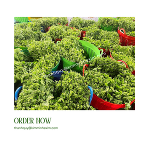 Kim Minh International, fournisseur principal de courges surgelées, feuilles de légumes, emballage en vrac de haute qualité, certifié 24 mois de durée de conservation - Product Image 3