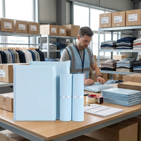 Sacs d'expédition en polyéthylène écologiques avec logo personnalisé, crème et bleu, imperméables, pour l'emballage de vêtements