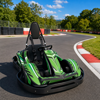 Go Kart Eléctrico de Velocidad Ajustable, Kart de Carreras para Exteriores, Perfecto para Niños, Experiencia de Conducción en Parques de Diversiones al Aire Libre