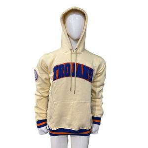 Sweat-shirt à capuche en coton biologique de luxe pour homme, couleur personnalisée, logo brodé, pull d'hiver décontracté - Product Image 1