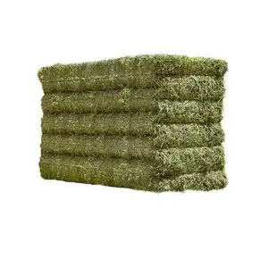Chất lượng cao alfafa hay cho động vật ăn công cụ cỏ linh lăng/Timothy/Cỏ linh lăng hay để bán - Product Image 1