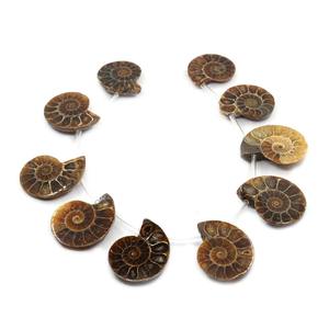 0089 Great Gems, 10 Piezas de Ammonites Tallados Ovalados con Orificio Lateral, Piedras Preciosas Sueltas en Cabujón, de 25mm a 35mm - Product Image 4