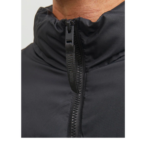 Veste d'hiver BD Fashion personnalisable en grande taille Nouveau design avec manteau de qualité standard en coton 100% - Product Image 2