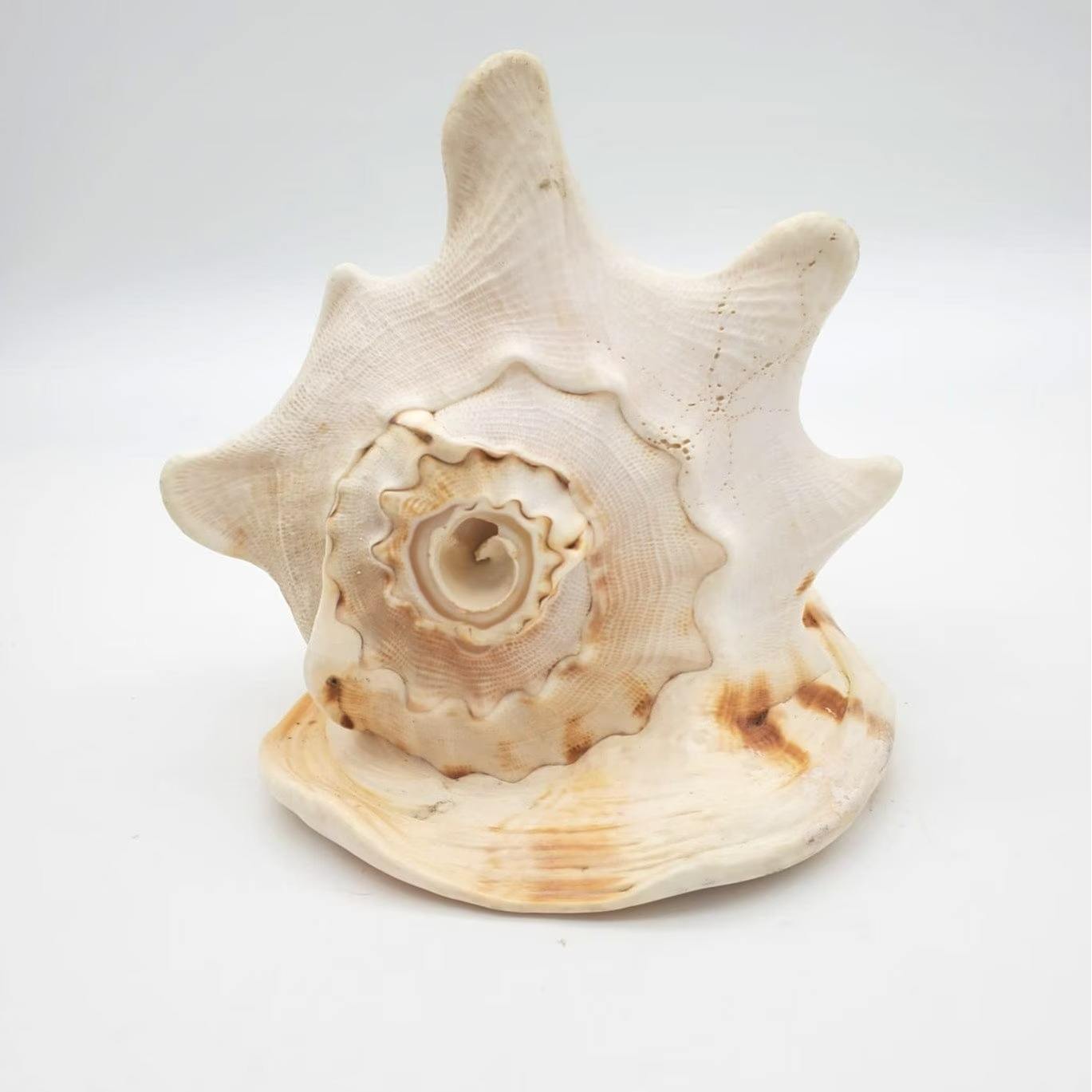 ธรรมชาติ