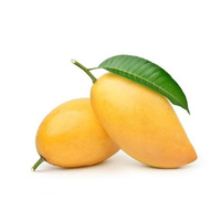 Mangue Badami biologique la plus vendue de délicieux fruits frais à saveur sucrée à prix compétitif
