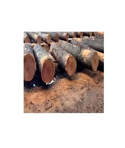 Economical Bulk Bilinga Timber <b>Logs</b> Available Now Ideal for Firewood and Decorative Uses Get Your Supply - Product Image 5