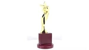 Trofeo de metal Rising Star más buscado para celebraciones de éxito de la empresa disponible a precio competitivo de la India - Product Image 3