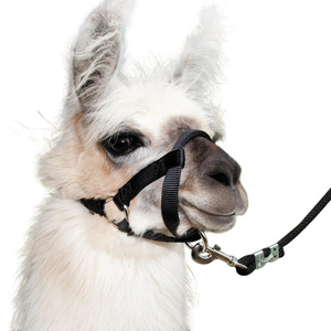 Harnais en nylon réglable de haute qualité pour lamas et alpaga, sur mesure - Product Image 1
