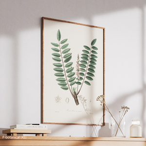 ภาพพิมพ์บนผ้าใบลายใบเฟิร์น ศิลปะตกแต่งผนัง ดีไซน์ทันสมัย กรอบไม้สไตล์วินเทจ ภาพประกอบการศึกษาพืช - Product Image 3