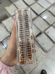 Opción de abastecimiento a granel de miel en panal con estructura de cera natural y presentación atractiva para los compradores - Product Image 4