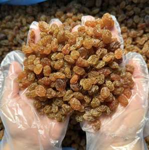 ลูกเกดพรีเมียมรวมชนิดต่างๆ ผลิตในเวียดนามจากวัตถุดิบองุ่นแห้ง เหมาะสำหรับการปรุงอาหารและการใช้งานในธุรกิจอาหารหลากหลายประเภท - Product Image 1