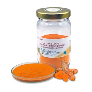 Extracto de Cúrcuma en Polvo 80% Curcuminoides, Extracción por Solvente, Cultivo Silvestre, Empaque en Tambor, Materia Prima a Granel - Product Image 1