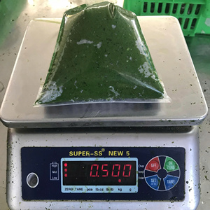 Hojas de yuca congeladas seleccionadas con cuidado y empaquetadas para necesidades de distribución internacional - Product Image 6