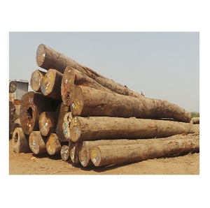 ไม้ซุงเมอร์แอนตี้น้ำตาล18-25ฟุต - Product Image 3