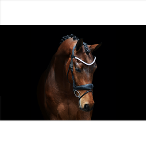 Bride en cuir de cheval de qualité supérieure en cuir véritable marron FABRICANT de bride de cheval de bonne qualité Genuin de haute qualité - Product Image 4