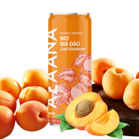 Kombucha Thee Huidverzorging Goede Prijs Fruit Gearomatiseerde Vitamine Goed Alcoholvrij Klaar Om Te Drinken Gemaakt In Vietnam Fabrikant