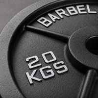 Ensemble de plaques de poids en fonte Pureflex noires durables personnalisées 255 LB (2,5-45 LB) pour l'entraînement de force à domicile