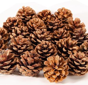 <b>Pinecone</b> Natural in Wholesales Price <b>Pinecone</b> Christmas Decoration for Room and Party Decoration - Product Image 4