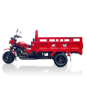 Triciclo barato trimoto carga triciclo adulto fabricante WAW valor competitivo - Product Image 5