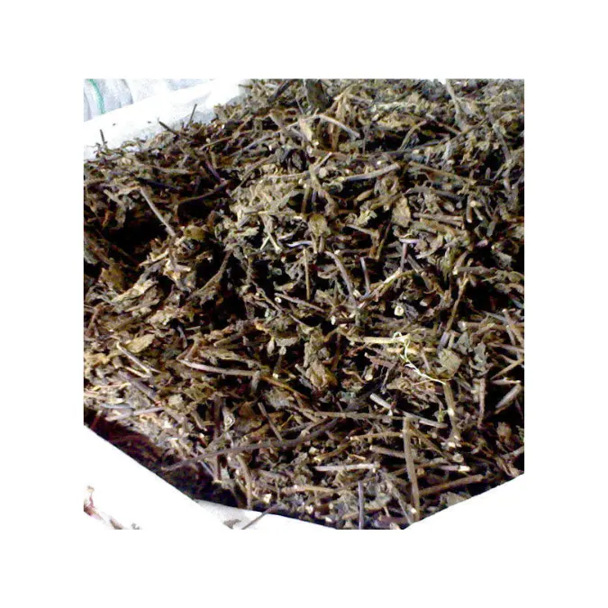 Polvere di gelatina di erba nera-foglie di gelatina di erba secca cruda di alta qualità-Mesona chinensis WA 84 327076054
